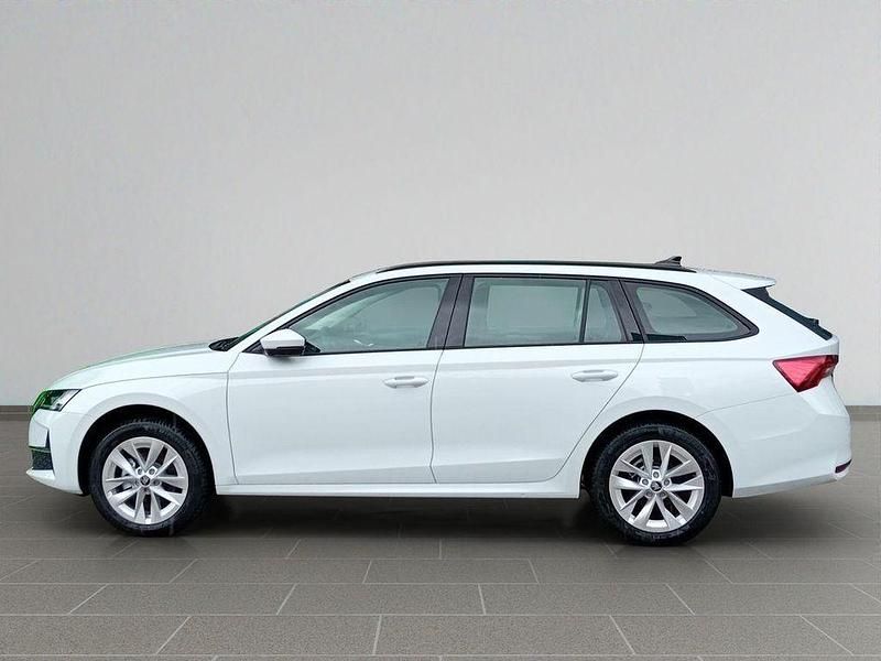 Neu Skoda Octavia Selection 150 PS (110 kW) 2025 Candyweiß Kombi