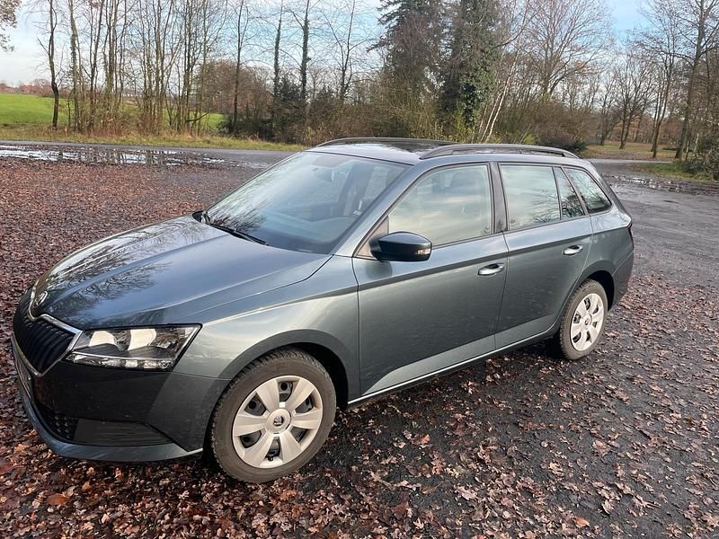 Grau Gebraucht 2019 Skoda Fabia Kleinwagen | 7.400 € (Guter Preis) - Bild 1/4