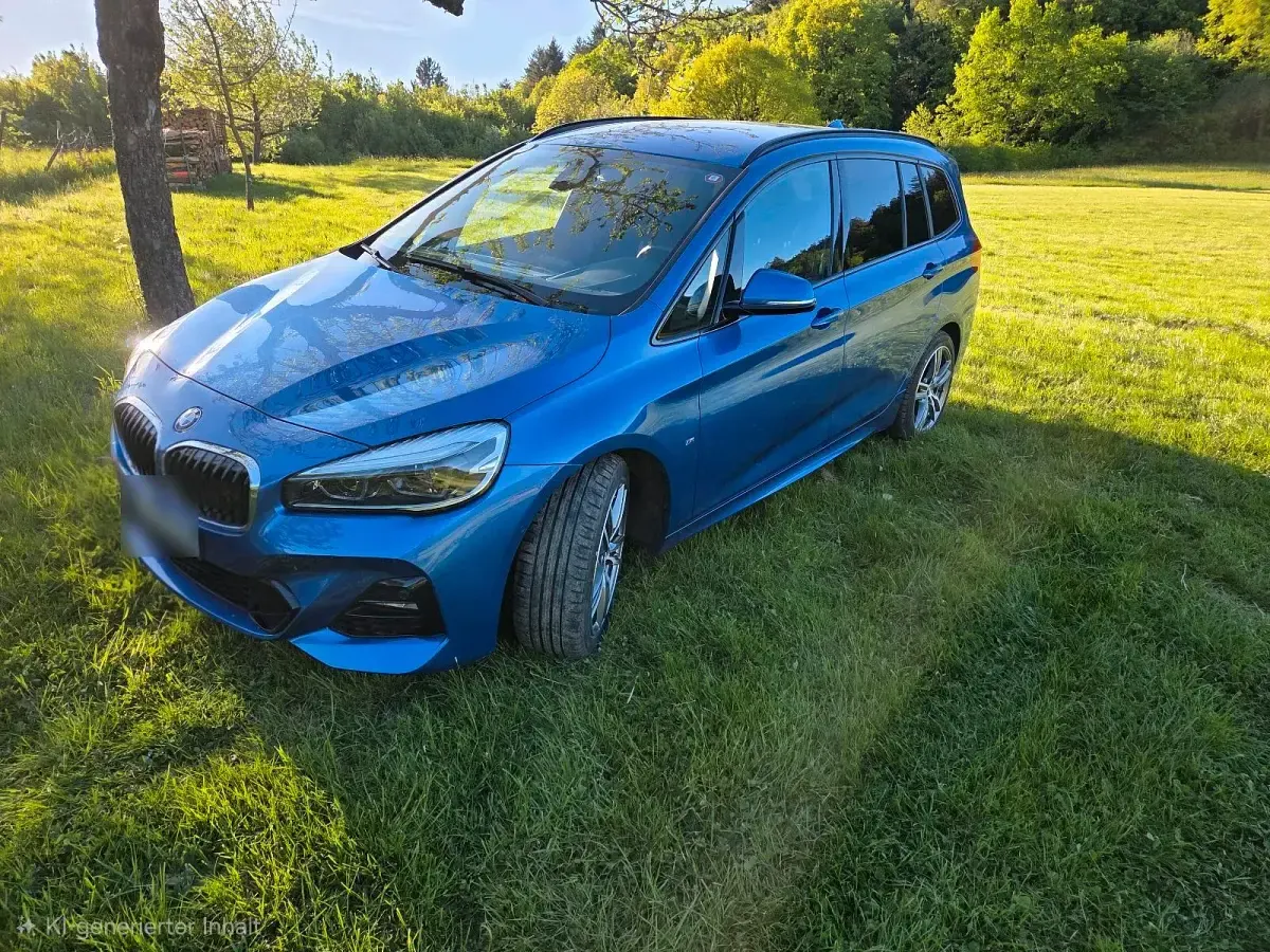 Gebraucht BMW 218 Gran Tourer M Sport 140 PS (102 kW) 2019 Blau Van / Kleinbus