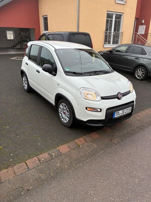 Gebraucht Fiat Panda 69 PS (50 kW) 2023 Weiß Kleinwagen