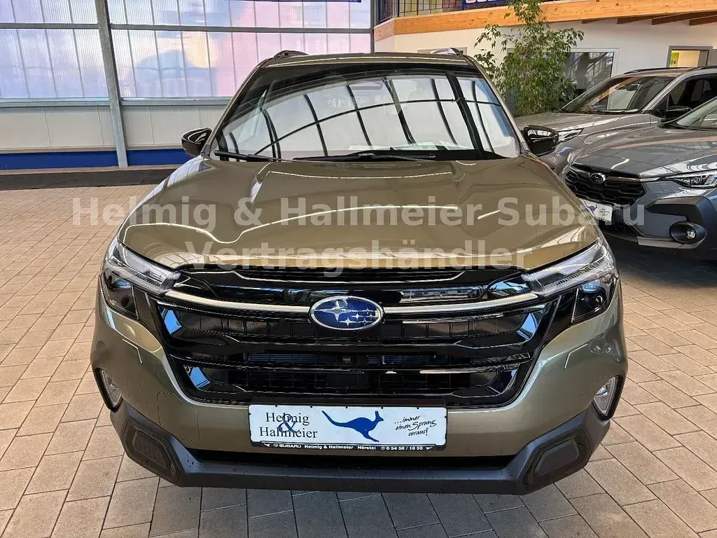 Neu Subaru Forester Platinum 136 PS (100 kW) 2026 Grün SUV