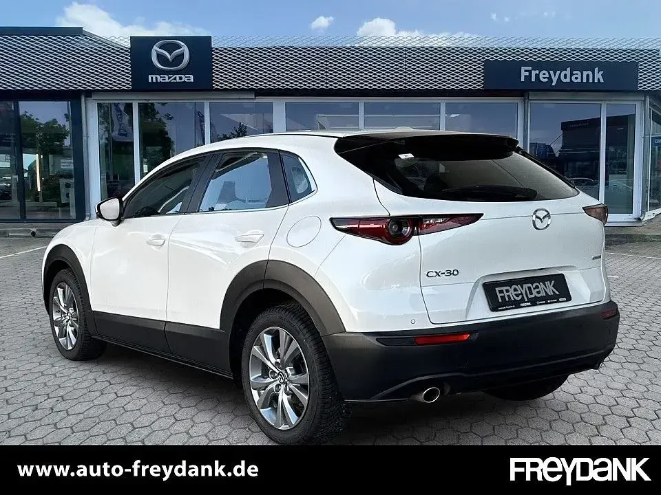 Gebraucht Mazda CX-30 Exclusive-Line 122 PS (89 kW) 2024 Snowflake white pearl SUV