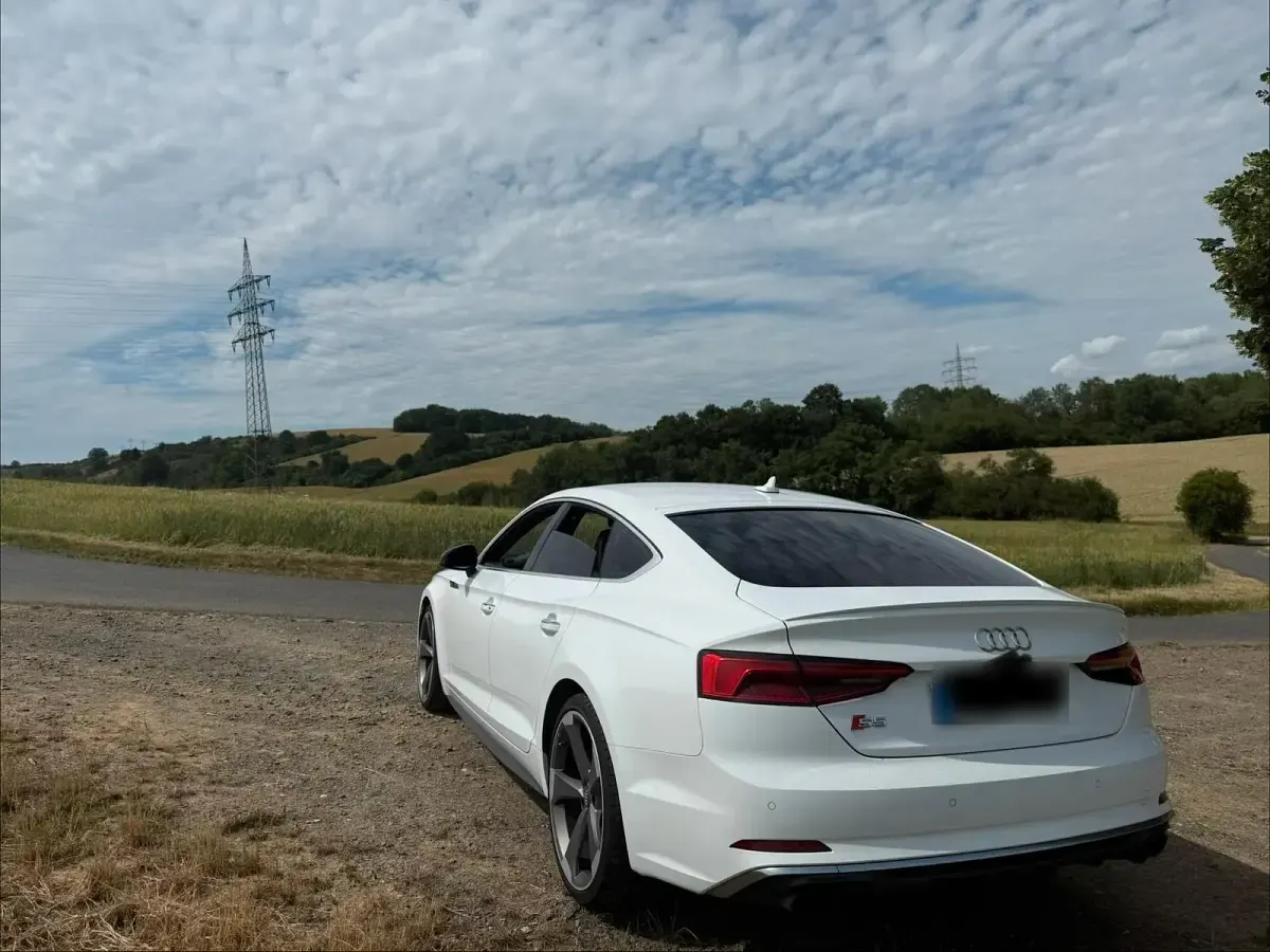Gebraucht Audi S5 354 PS (260 kW) 2017 Weiß Coupé