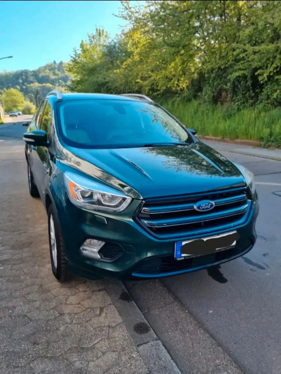 Gebraucht Ford Kuga Business Edition 150 PS (110 kW) 2017 Grün SUV