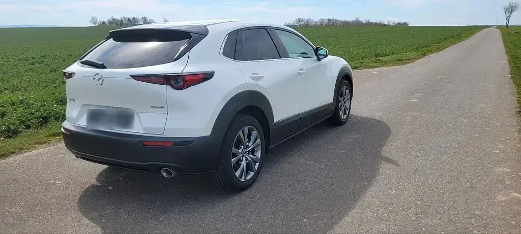Gebraucht Mazda CX-30 Selection 186 PS (136 kW) 2023 Weiß SUV
