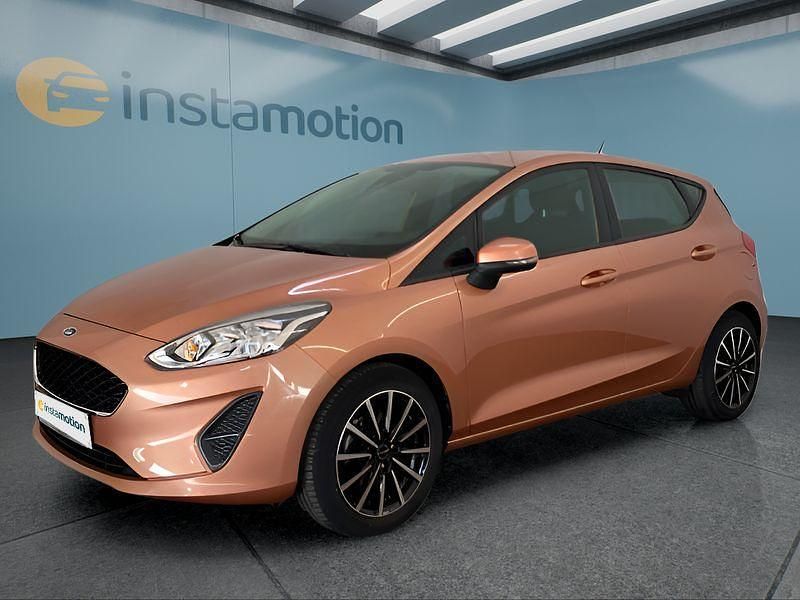 Braun Gebraucht 2019 Ford Fiesta Kleinwagen | 13.799 € (Teuer) - Bild 1/4