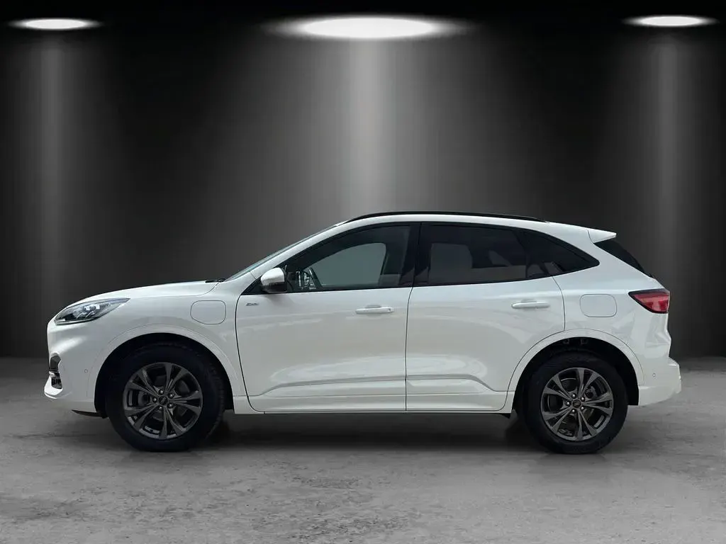Gebraucht Ford Kuga ST-Line 224 PS (164 kW) 2021 Weiß SUV