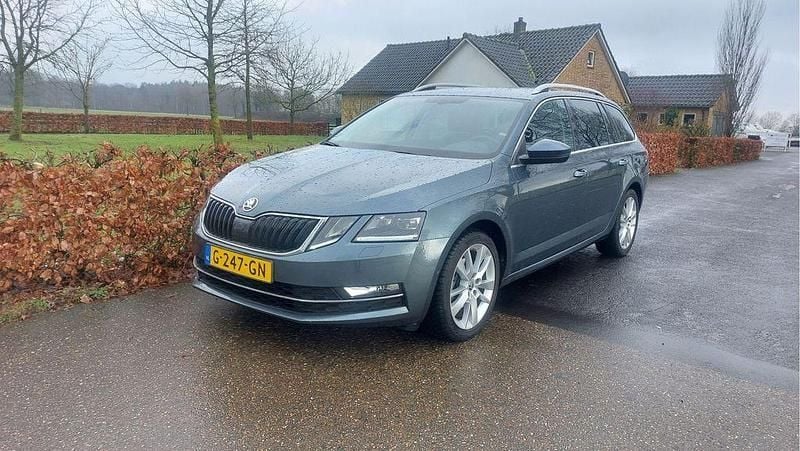 Gebraucht Skoda Octavia Business Line 116 PS (85 kW) 2019 Grau Kombi