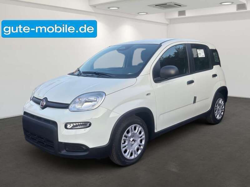 Weiß Neu 2024 Fiat Panda Kleinwagen | 13.990 € (Guter Preis) - Bild 1/4
