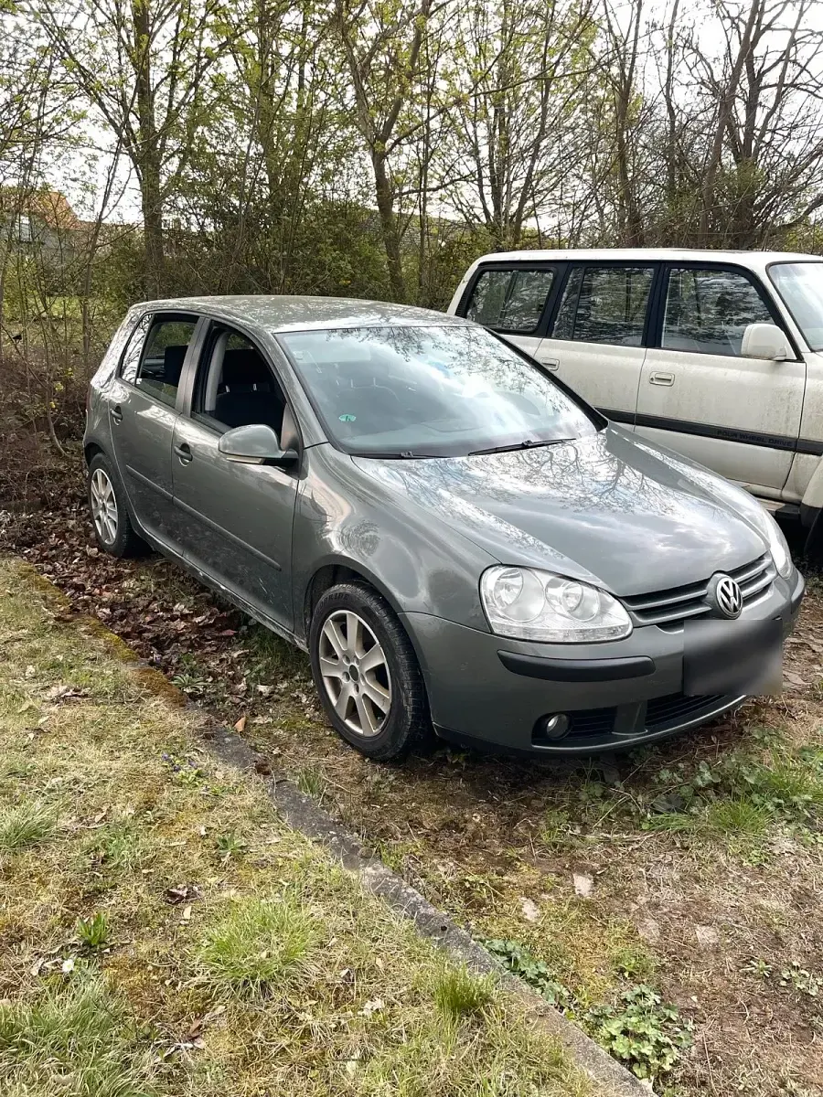 Gebraucht VW Golf IV 2005 Grün Kleinwagen