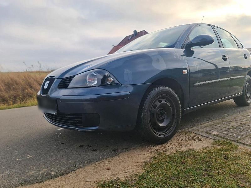 Gebraucht Seat Ibiza 75 PS (55 kW) 2005 Grau Kleinwagen