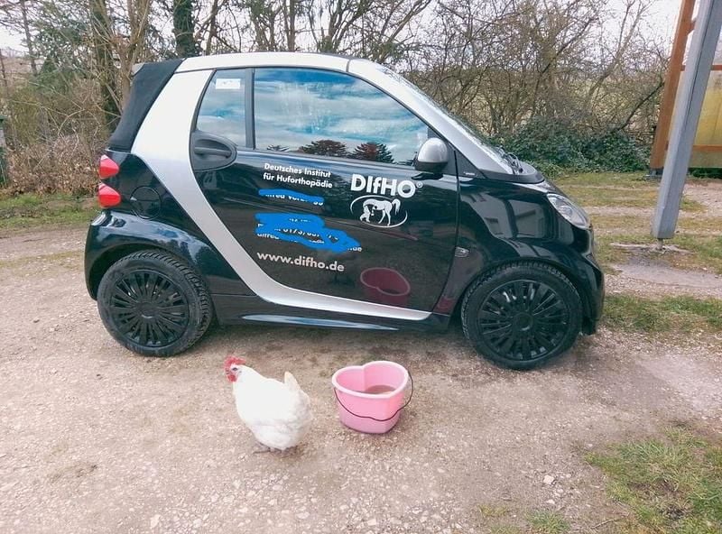 Gebraucht Smart ForTwo Cabrio Passion 71 PS (52 kW) 2012 Schwarz Cabrio