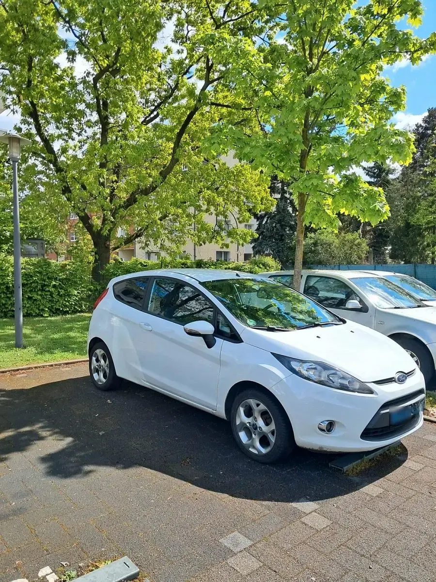 Gebraucht Ford Fiesta 60 PS (44 kW) 2011 Weiß Kleinwagen