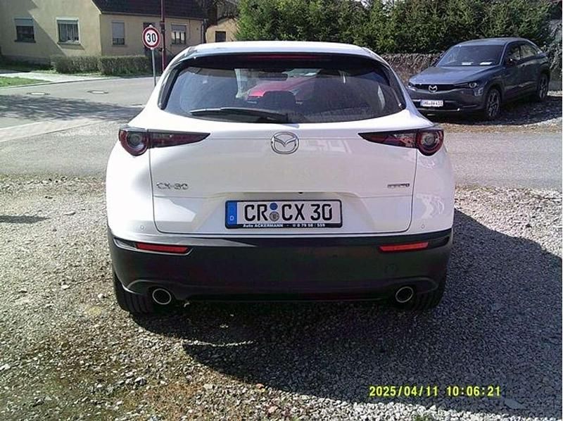 Gebraucht Mazda CX-30 Selection 186 PS (136 kW) 2023 Weiß SUV