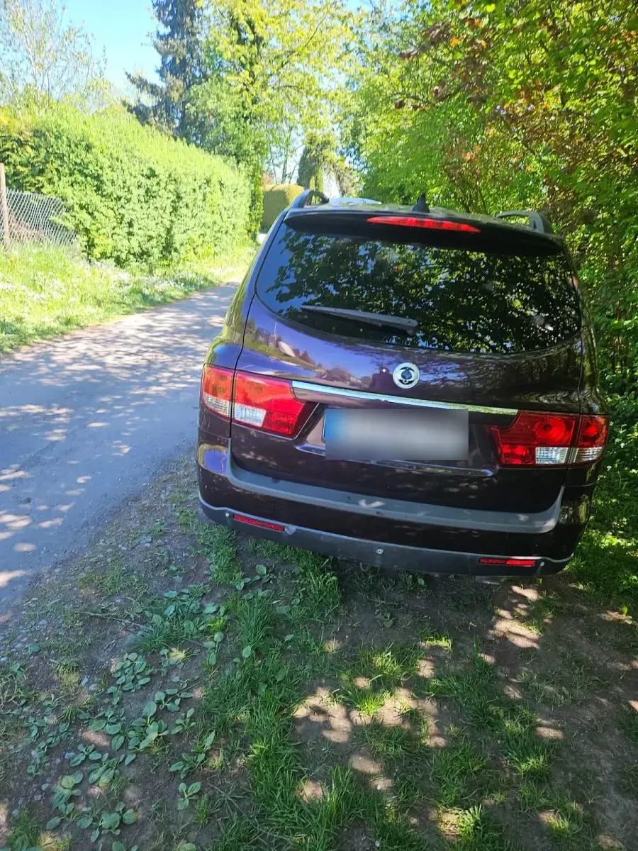Usata SsangYong Kyron 150 CV (110 kW) 2007 Viola SUV