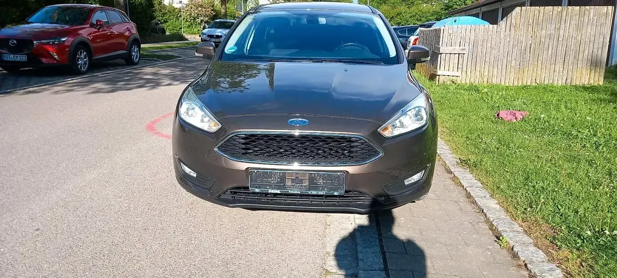 Usado Ford Focus 125 CV (91 kW) 2017 Marrón Familiar
