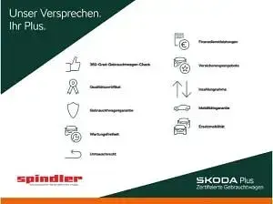 Gebraucht Skoda Octavia Selection 150 PS (110 kW) 2024 Moonweiß perleffekt Kombi