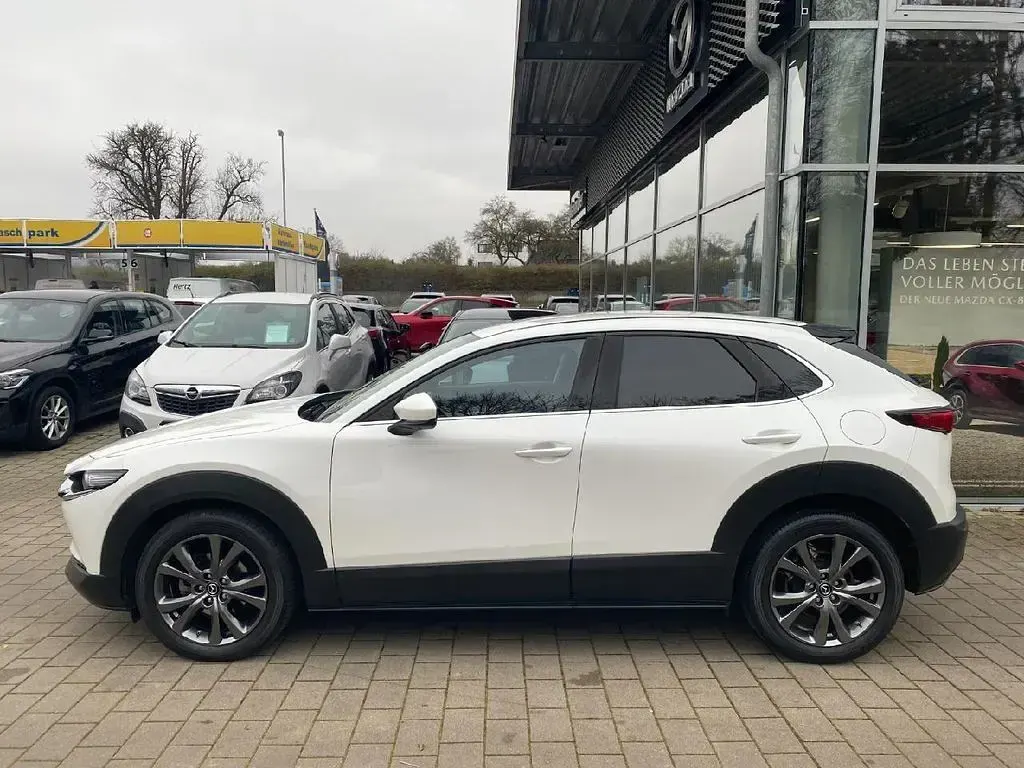 Gebraucht Mazda CX-30 Selection 186 PS (136 kW) 2021 Snowflake white pearl SUV