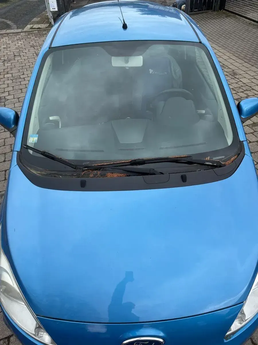 Gebraucht Ford Ka Trend 69 PS (50 kW) 2010 Blau Kleinwagen
