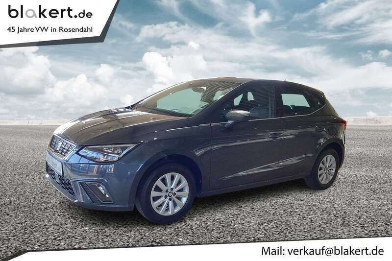 Grau Gebraucht 2019 Seat Ibiza XCELLENCE Kleinwagen | 14.890 € (Etwas zu teuer) - Bild 1/4