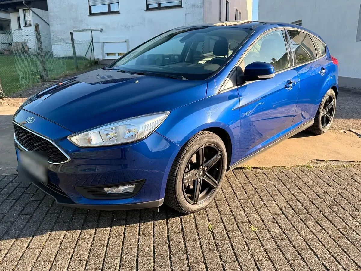 Usata Ford Focus 125 CV (91 kW) 2015 Blu Berlina