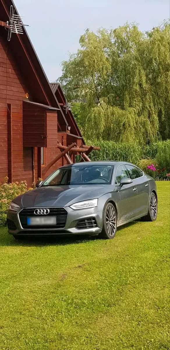 Gebraucht Audi A5 Sportback 190 PS (139 kW) 2019 Grau Kleinwagen