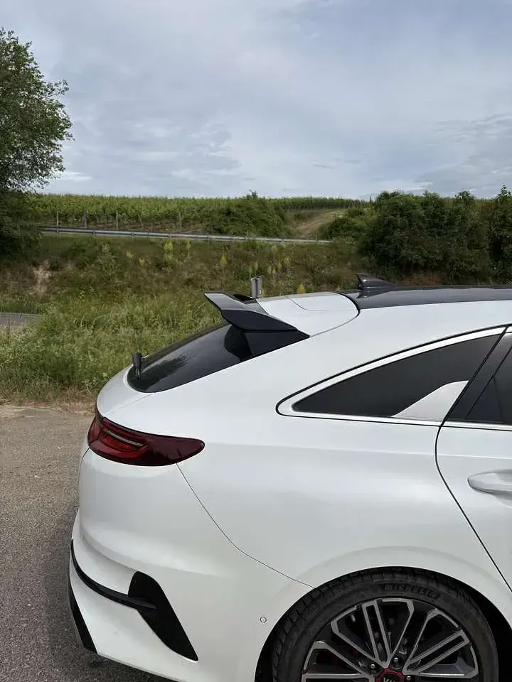Gebraucht Kia ProCeed GT 204 PS (150 kW) 2020 Kombi