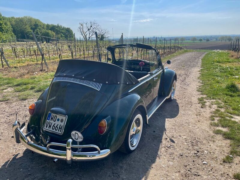 Gebraucht VW Käfer 39 PS (28 kW) 1966 Grün Cabrio