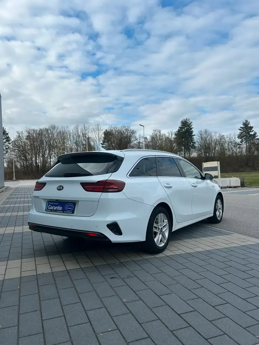 Gebraucht Kia Ceed 135 PS (99 kW) 2018 Weiß Kleinwagen