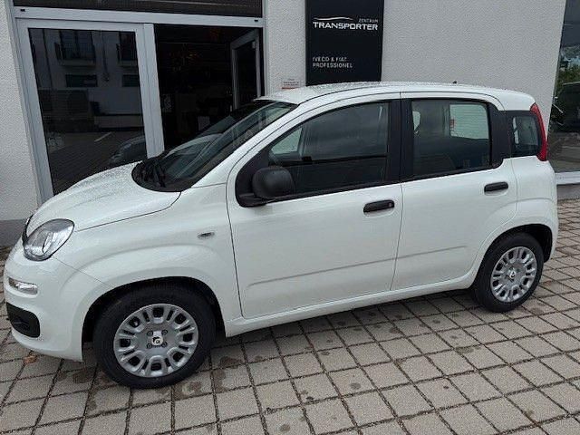 Weiß Neu 2025 Fiat Panda Kleinwagen | 13.490 € (Guter Preis) - Bild 1/4