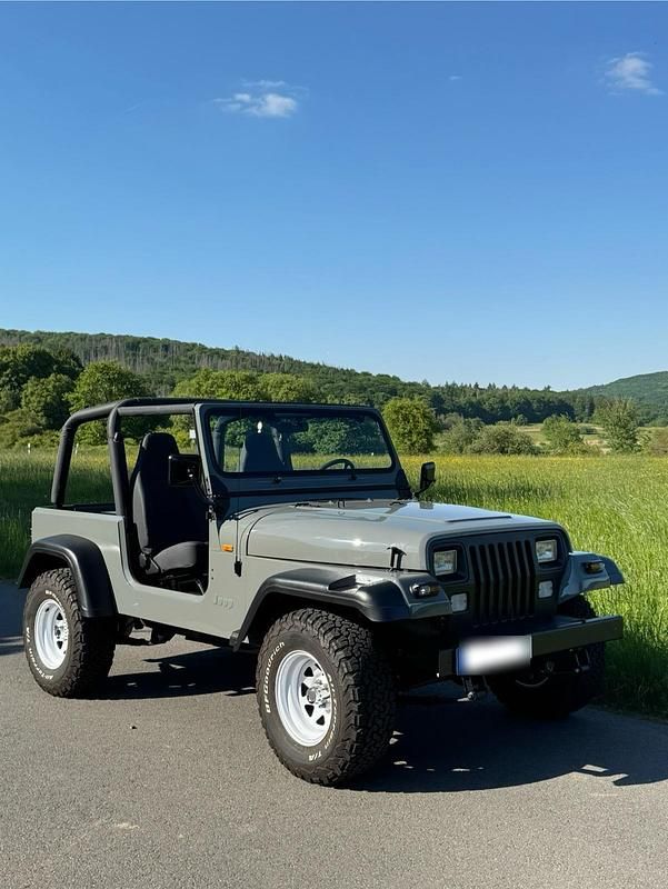 Gebraucht Jeep Wrangler 178 PS (130 kW) 1994 Grau SUV