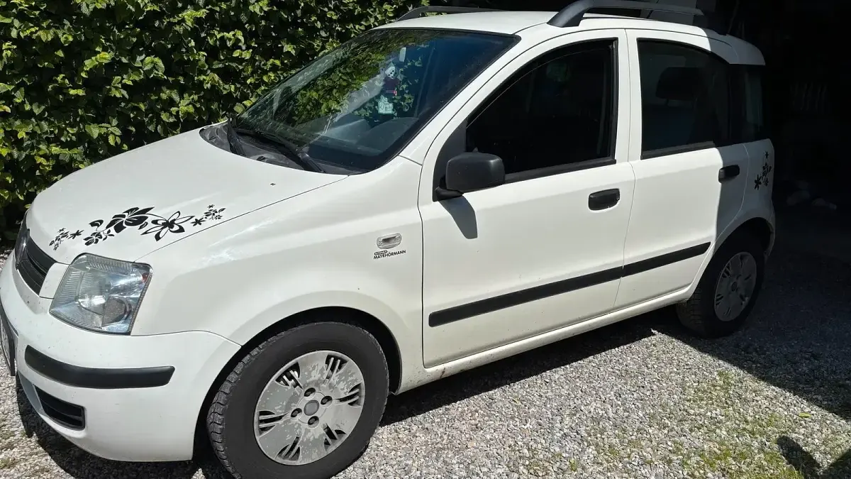 Gebraucht Fiat Panda 60 PS (44 kW) 2009 Weiß Kleinwagen