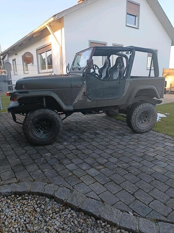 Gebraucht Jeep Wrangler 100 PS (73 kW) 1993 Grün SUV