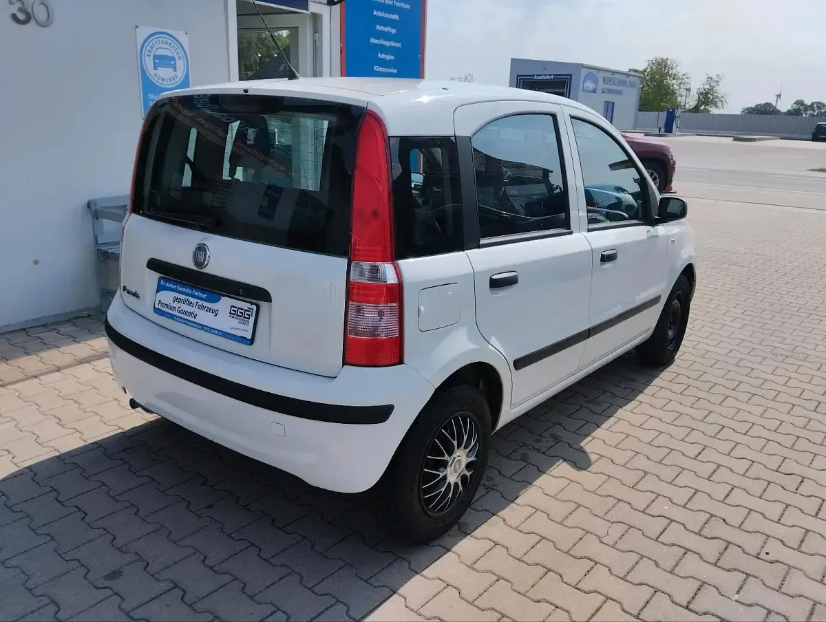 Gebraucht Fiat Panda Active 54 PS (39 kW) 2009 Weiß Kleinwagen