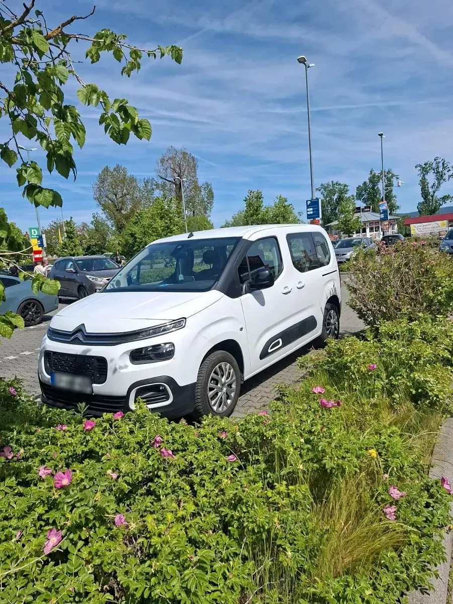 Gebraucht Citroën Berlingo 110 PS (80 kW) 2023 Weiß Van / Kleinbus