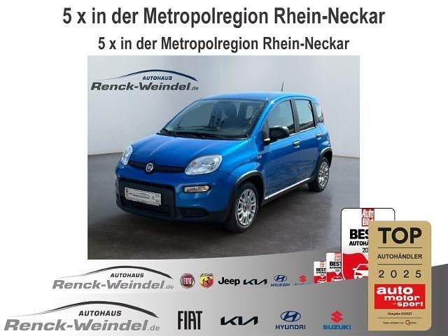 Blau Neu 2025 Fiat Panda Kleinwagen | 15.989 € (Etwas zu teuer) - Bild 1/4
