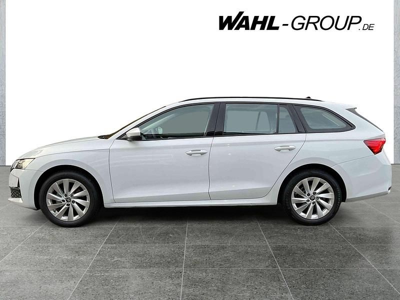 Gebraucht Skoda Octavia Selection 150 PS (110 kW) 2025 Weiß Kombi