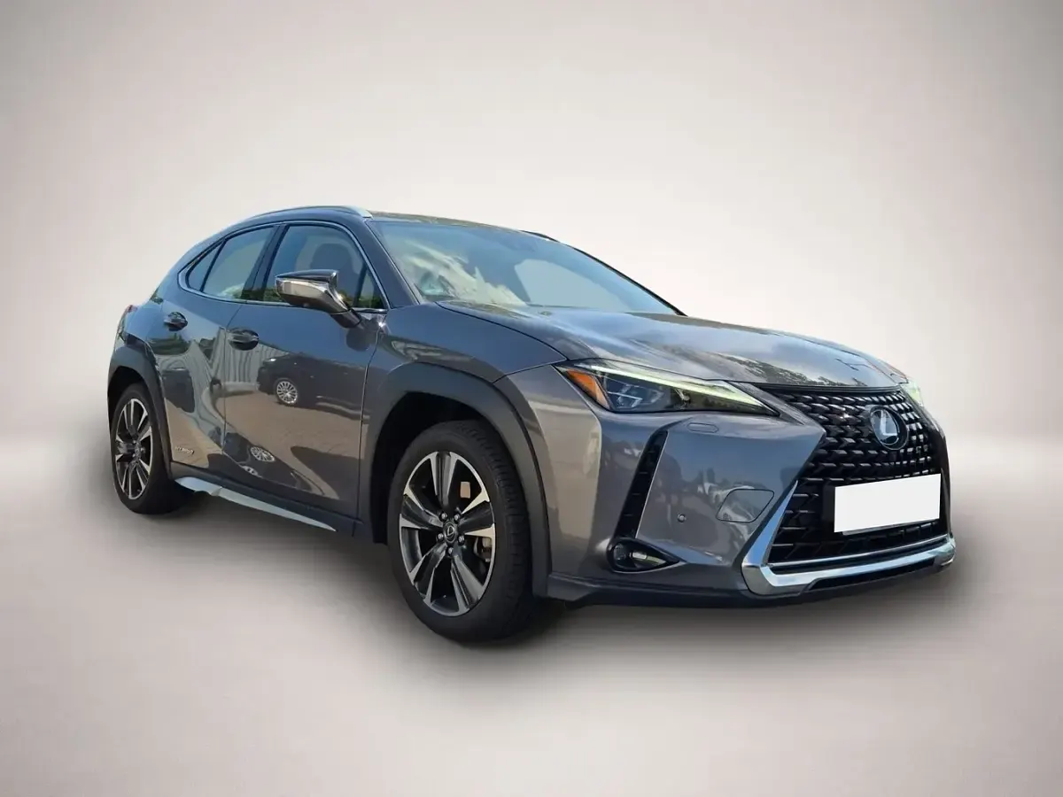 Gebraucht Lexus UX 250h Luxury Line 145 PS (106 kW) 2019 Grau SUV