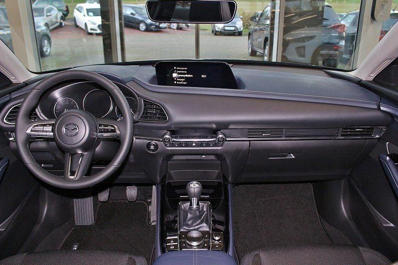 Gebraucht Mazda CX-30 Selection 122 PS (89 kW) 2019 Polymetalgrau (metallic) SUV