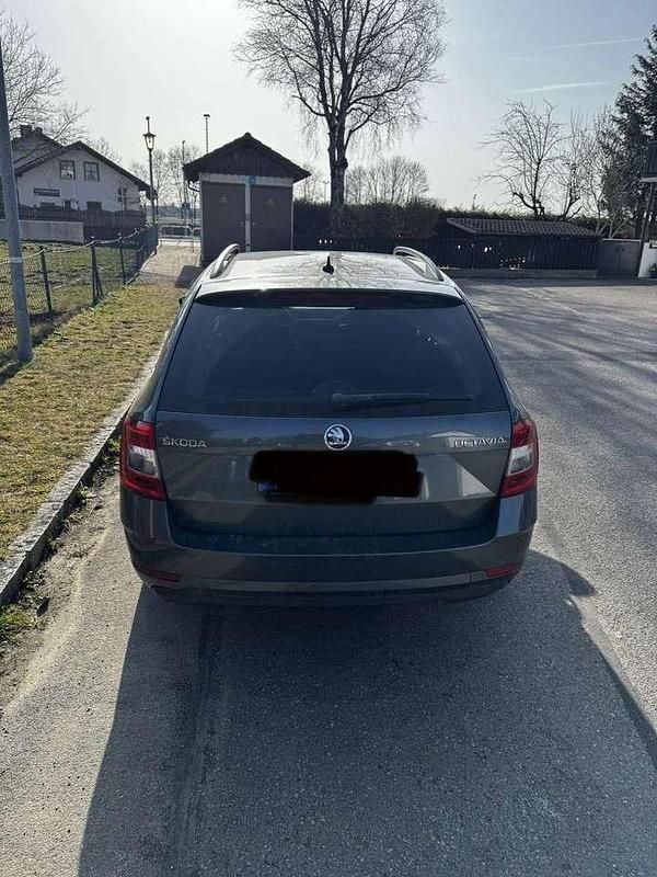 Gebraucht Skoda Octavia Ambition 116 PS (85 kW) 2017 Grau Kombi