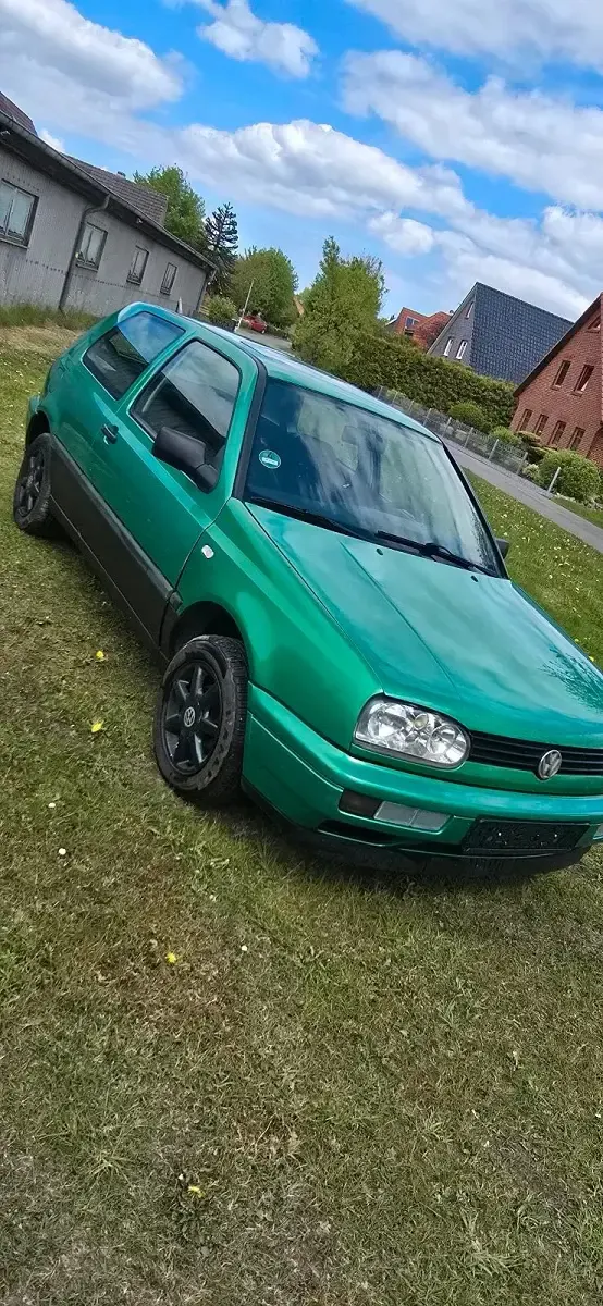 Gebraucht VW Golf III 60 PS (44 kW) 1995 Grün Kleinwagen