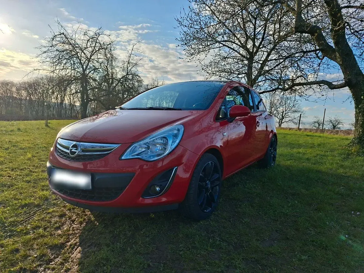 Gebraucht Opel Corsa OPC 87 PS (63 kW) 2011 Rot Kleinwagen