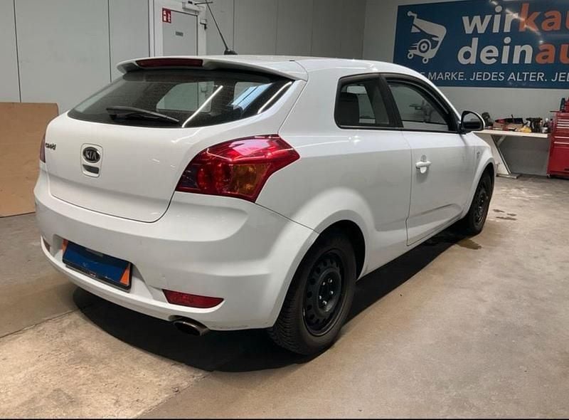 Second-hand Kia ProCeed EX 128 CP (94 kW) 2008 Alb Hatchback