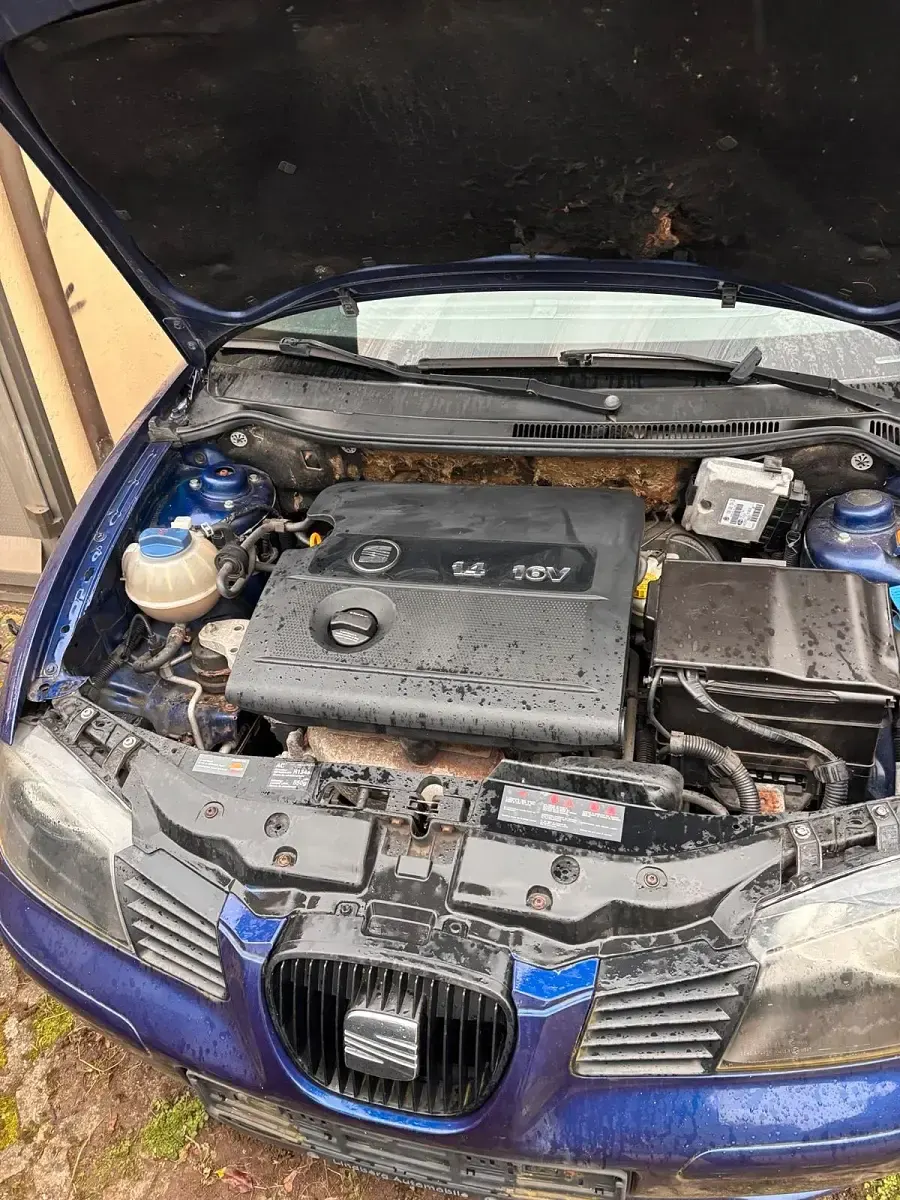 Gebraucht Seat Ibiza 2002 Kleinwagen