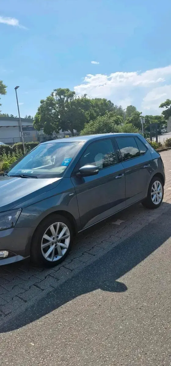 Gebraucht Skoda Fabia 60 PS (44 kW) 2018 Grau Kleinwagen