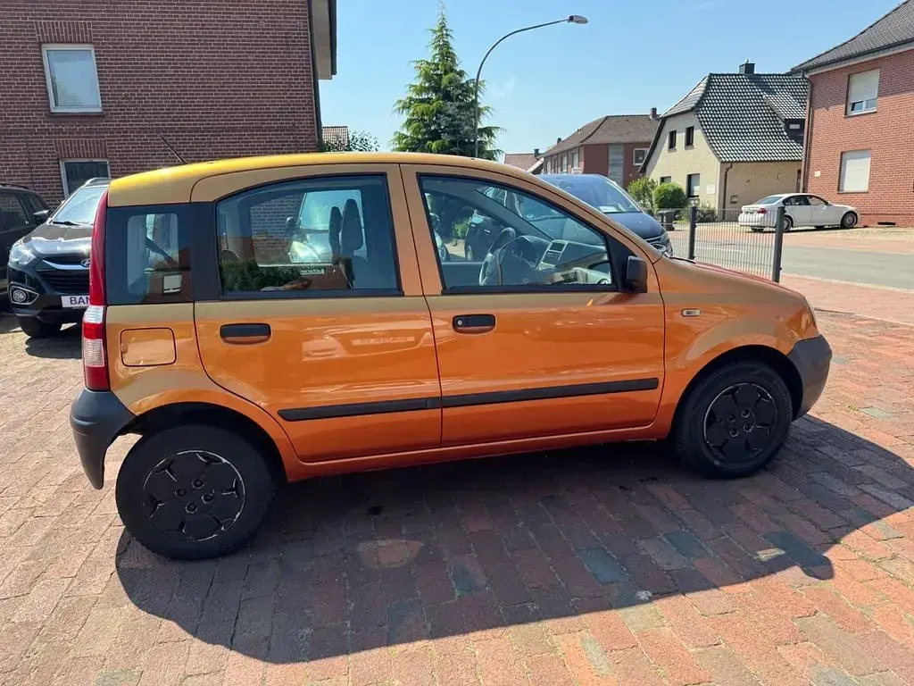 Gebraucht Fiat Panda Active 54 PS (39 kW) 2007 Orange Kleinwagen