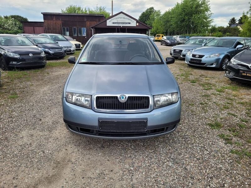 Gebraucht Skoda Fabia Exact 54 PS (39 kW) 2003 Grau Kleinwagen