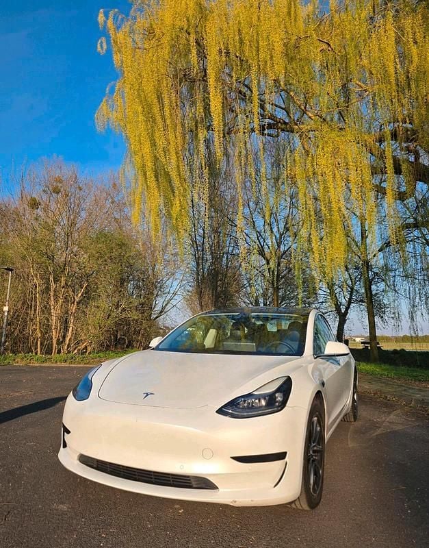 Gebraucht Tesla Model 3 Standard Range 208 kW (283 PS) 2020 Weiß Limousine