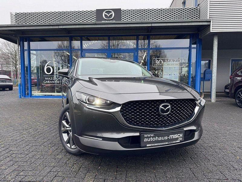 Gebraucht Mazda CX-30 Selection 179 PS (131 kW) 2020 Grau SUV