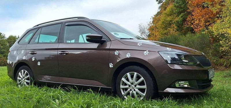 Braun Gebraucht 2015 Skoda Fabia Ambition Kleinwagen | 9.400 € (Fairer Preis) - Bild 1/4